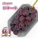 【ふるさと納税】【8月下旬頃から発送】 ニューピオーネ 約1.1kg ( 2~3房 ) 贈答用 | ぶどう ニューピオーネ 贈答 種なし 大粒 数量限定 愛媛県...