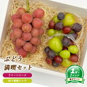 【ふるさと納税】【8月下旬頃から発送】 クイーンニーナ + 彩り葡萄パック 約550g ( 大1房 ) 彩り葡萄パック 約270g ( 2パック ) | ぶどう...