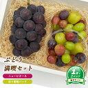 【ふるさと納税】【8月下旬頃から発送】 ニューピオーネ 約550g ( 大1房 ) + 彩り葡萄パック 約270g ( 2パック ) | ぶどう ニューピオーネ...