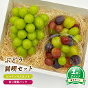 【ふるさと納税】【8月下旬頃から発送】 シャインマスカット 約550g ( 大1房 ) + 彩り葡萄パック 約270g ( 2パック ) | ぶどう シャインマ...