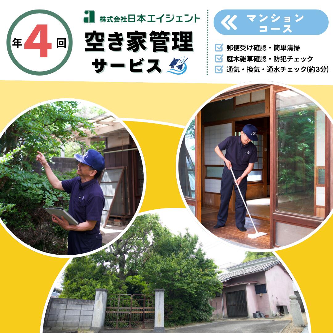 ڤդ뤵Ǽǡ ȴӥʥޥ󥷥󥳡)ðɲ 