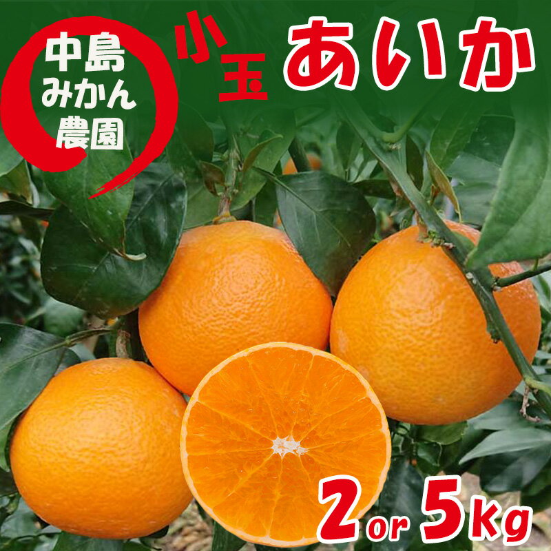 [2025年12月から順次発送] 愛果28号 小玉 2kg / 5kg 中島みかん農園|紅まどんな と同品種 みかん 愛果 蜜柑 松山市産みかん 柑橘 ミカン 蜜柑 みかん 果物 オススメみかん フルーツ あいか みかん 松山 愛媛 人気のみかん