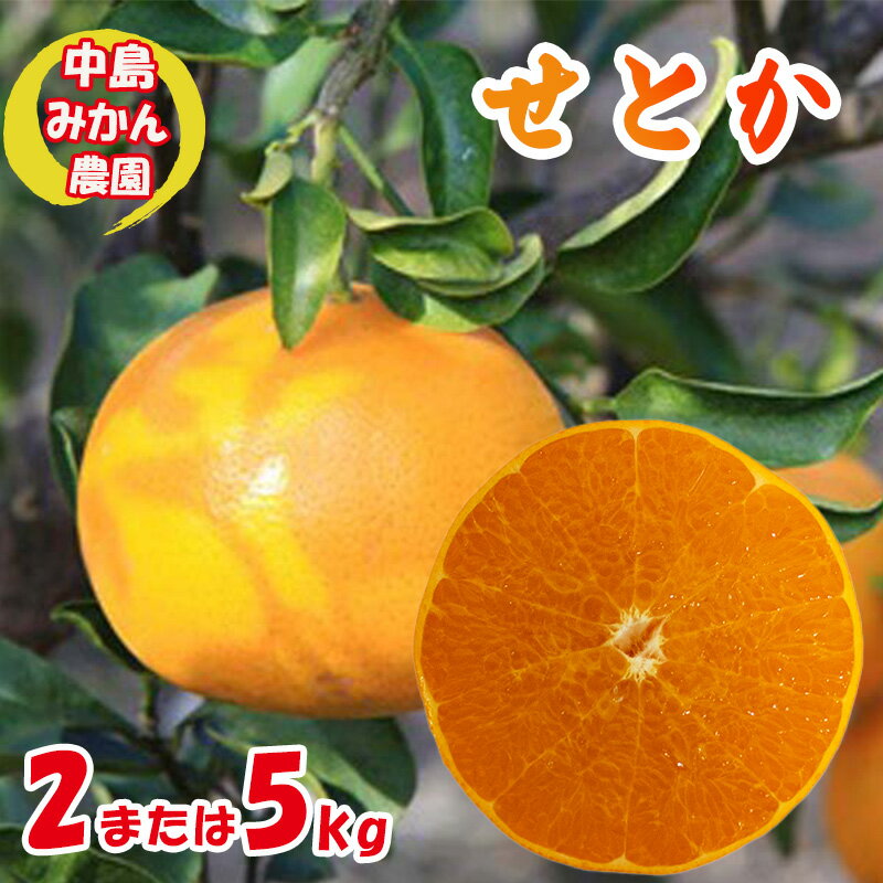 【ふるさと納税】【2025年3月から発送】 せとか 小玉 2kg または 5kg 中島みかん農園 ｜ 先行予約 みかん 蜜柑 柑橘 高級 小粒 わけあり 訳あり 甘い みかん 柑橘 愛媛 糖度 せとか 愛媛 松山のサムネイル