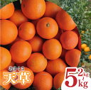 【ふるさと納税】 【2026年1月下旬から発送予定】天草 小玉 2kg/5kg 愛媛県 中島産 | 家庭用 先行予約 蜜柑 ミカン みかん 甘い 濃厚 柑橘 人気 お取り寄せ 期間 数量 限定 愛媛 松山 中島みかん農園