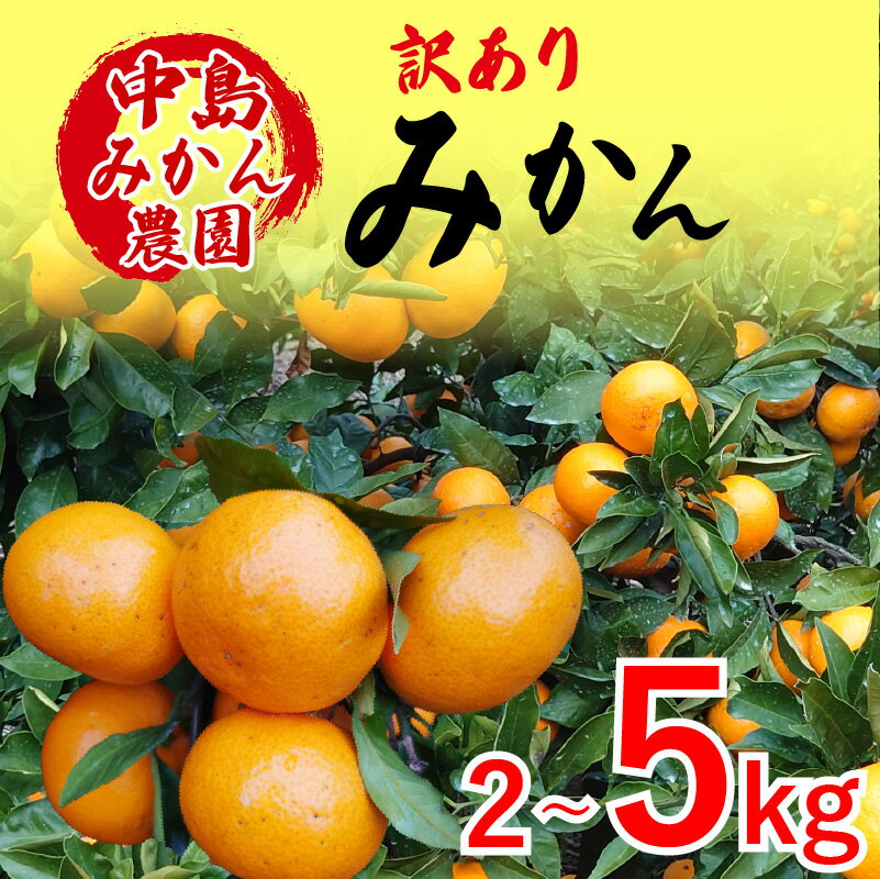 [2025年12月から発送]中島産 温州みかん 訳あり 2kg / 5kg | えひめ 蜜柑 みかん ミカン 蜜柑 柑橘 果物 フルーツ 松山 愛媛 みかん ミカン 蜜柑 中島みかん 温州みかん ミカン 愛媛 松山 中島みかん農園