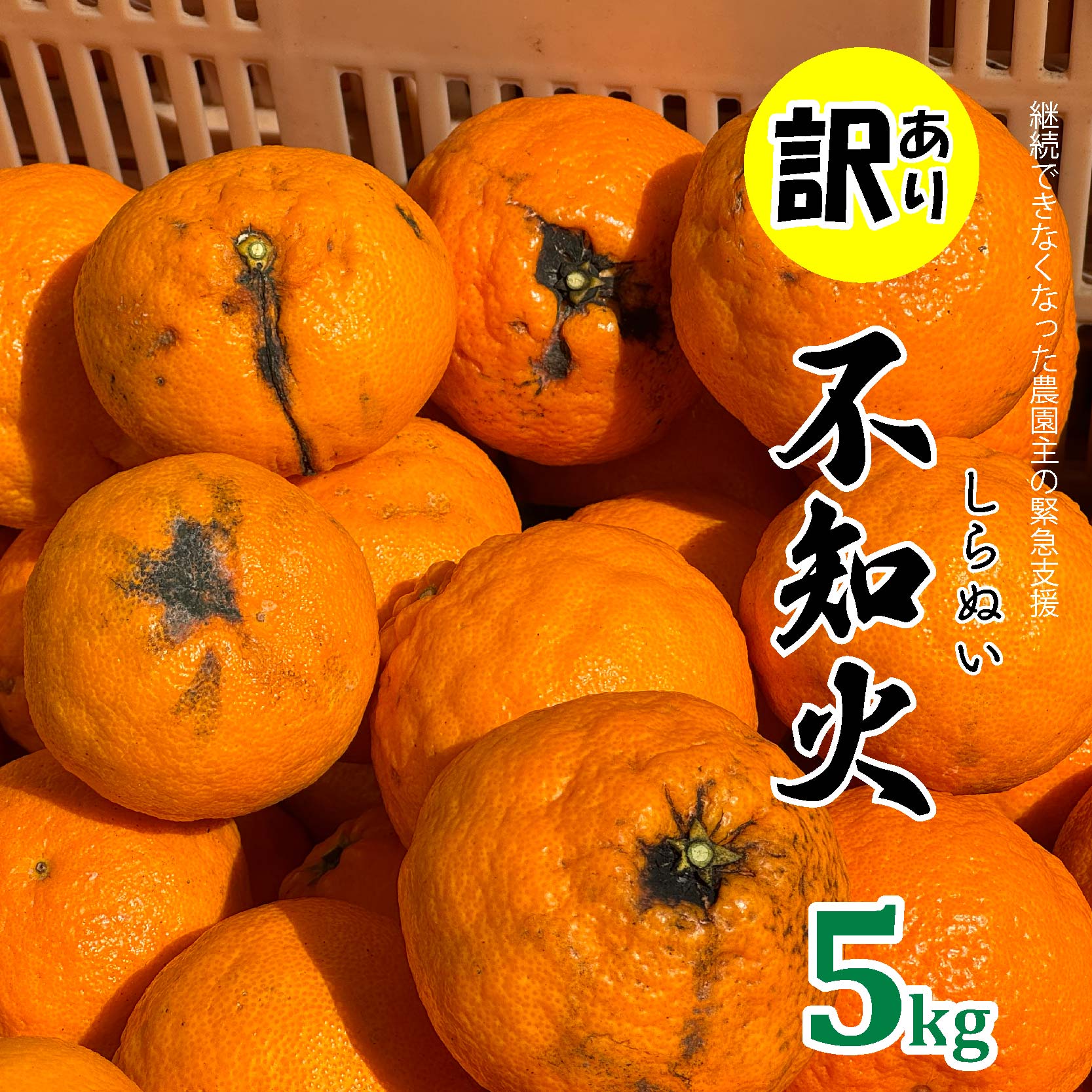 【ふるさと納税】 【 訳あり 】 不知火 ( しらぬい ) 5kg デコポン 同品種 ( 2024年3月発送 ) みかん 柑橘 愛媛 松山 フルーツ 果物 数量限定 期間限定 緊急 支援 ランキング 訳ありのサムネイル
