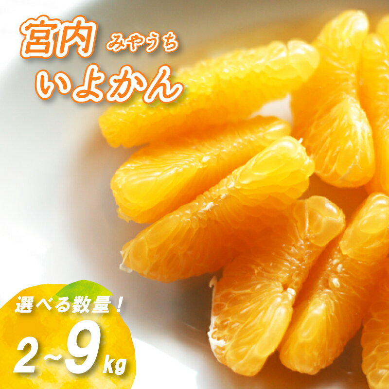 【ふるさと納税】 【1-3月中旬発送】 宮内いよかん 2kg / 4kg / 9kg 数量選択可 いよかん 伊予柑 みかん 数量限定 みかん 愛媛県産 みかん 松山市 みかん 中島 みかん いよかん 伊予柑 みかん 蜜柑 イヨカン 愛媛県 松山市のサムネイル