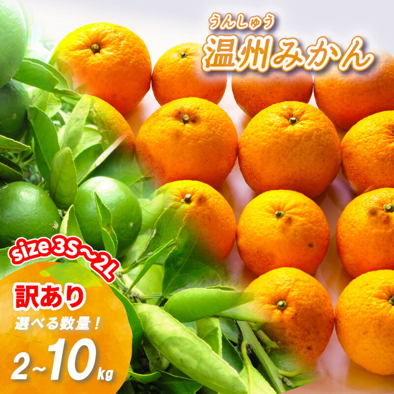 【ふるさと納税】 【2025年11月上旬から順次発送】 訳あり 温州みかん 2kg/5kg/10kg 数量選択可 | 訳アリ わけあり 家庭用 早生 わせ 南柑...