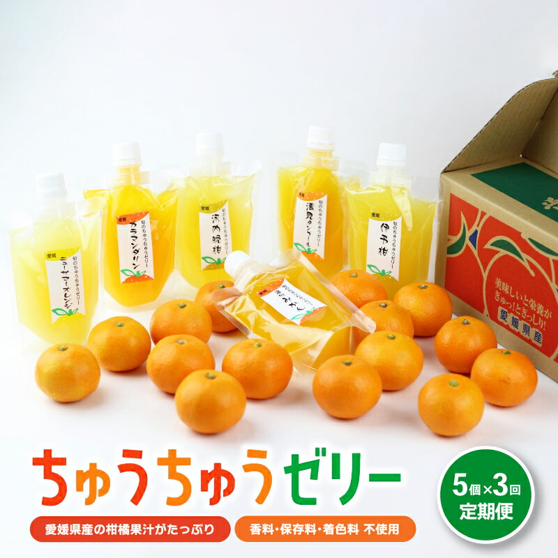 【ふるさと納税】 ちゅうちゅう ゼリー 定期便 175g 5本 × 3回 | 柑橘 デザート 飲料 半解凍 シャーベット スイーツ お取り寄せ 人気 おすすめ 愛媛県 松山市