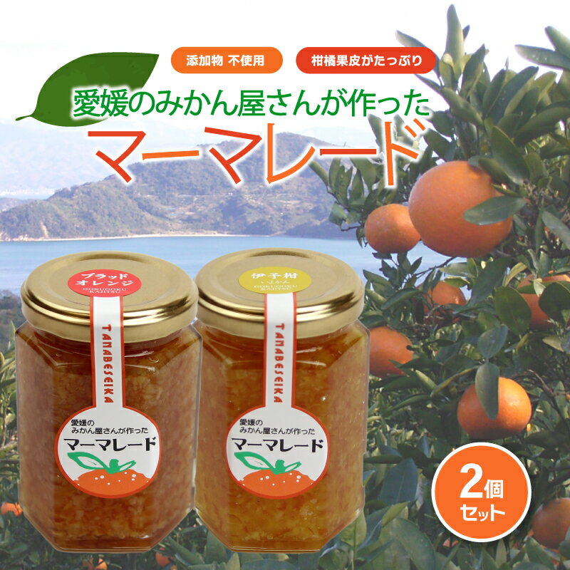【ふるさと納税】 みかん マーマレード 150g×2 | 柑橘 みかん加工品 ギフト 無添加 マーマレード ジャム フルーツ 伊予柑 ブラッドオレンジ 夏みかん レモン 果物 くだもの 愛媛みかん スイーツ 産地直送 ご当地 愛媛県 松山市