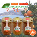 【ふるさと納税】 みかん マーマレード 150g×3 | 柑橘 みかん加工品 ギフト 無添加 マーマレード ジャム フルーツ 伊予柑 ブラッドオレンジ 夏みかん レモン 果物 くだもの 愛媛みかん スイーツ 産地直送 ご当地 愛媛県 松山市