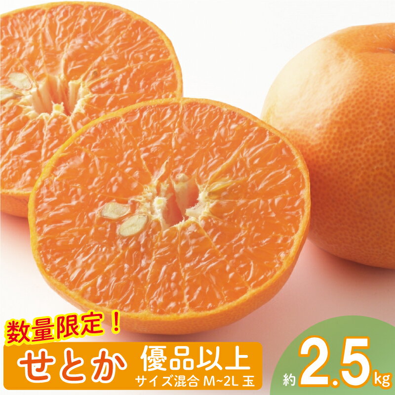【ふるさと納税】 【2025年2月上旬から発送】せとか 優品以上 約2.5kg M~2L玉 高級柑橘 みかん 柑橘 みかん フルーツ みかん ミカン みかん 蜜柑 愛媛県 松山市のサムネイル
