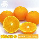 【ふるさと納税】【2025年12月上旬から発送】高級 みかん あいか 愛果28号 優品以上 L - 3L 2.5kg | 愛媛 みかん 先行予約 紅まどんな 紅マドンナ と同品種 蜜柑 柑橘 果物 くだもの フルーツ お取り寄せ グルメ 期間限定 数量限定 人気 おすすめ 愛媛県 松山市
