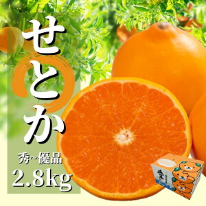 【ふるさと納税】 愛媛 せとか 秀~優品 約2.8kg 2026年2月から3月頃発送 | みかん 先行予約 柑橘 果物 くだもの フルーツ お楽しみ お取り寄せ グルメ 期間限定 数量限定 人気 おすすめ ギフト 愛媛県 松山市