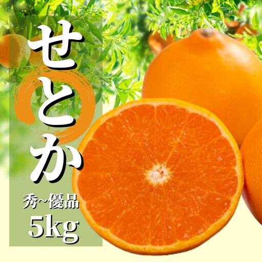 【ふるさと納税】愛媛 せとか 秀~優品 約5kg <2026年2月から3月頃発送> | みかん 先行予約 柑橘 果物 くだもの フルーツ お楽しみ お取り寄せ グルメ 期間限定 数量限定 人気 おすすめ ギフト 愛媛県 松山市 【ふるさと納税】愛媛 せとか 秀~優品 約5kg <2026年2月から3月頃発送> | みかん 先行予約 柑橘 果物 くだもの フルーツ お楽しみ お取り寄せ グルメ 期間限定 数量限定 人気 おすすめ ギフト 愛媛県 松山市