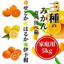 【ふるさと納税】 【三種のみかん食べ比べ箱】せとか・はるか・宮内伊予柑 (家庭用)約5kg <2月から順次発送> | 愛媛 みかん 先行予約 蜜柑 柑橘 果物 くだもの フルーツ お取り寄せ グルメ 期間限定 数量限定 人気 おすすめ 愛媛県 松山市(4)