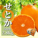 【ふるさと納税】せとか 家庭用 約2.8kg ＜2025年2月から3月頃発送＞ | 愛媛 みかん 先行予約 蜜柑 柑橘 果物 くだもの フルーツ お取り寄せ グルメ 期間限定 数量限定 人気 おすすめ 愛媛県 …