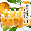 【ふるさと納税】 【おまかせ10種】飲むみかんゼリー 詰め合わせ　 みかん 人気 ギフト 愛媛 松山 贈答 プレゼント ゼリー ジュース の..