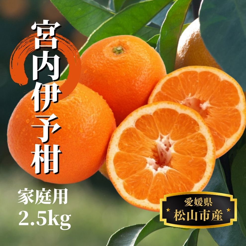[宮内伊予柑]家庭用 約2.5kg [2026年2月から3月中旬頃発送] | 愛媛 みかん 先行予約 蜜柑 柑橘 果物 くだもの フルーツ お取り寄せ グルメ 期間限定 数量限定 人気 おすすめ 愛媛県 松山市
