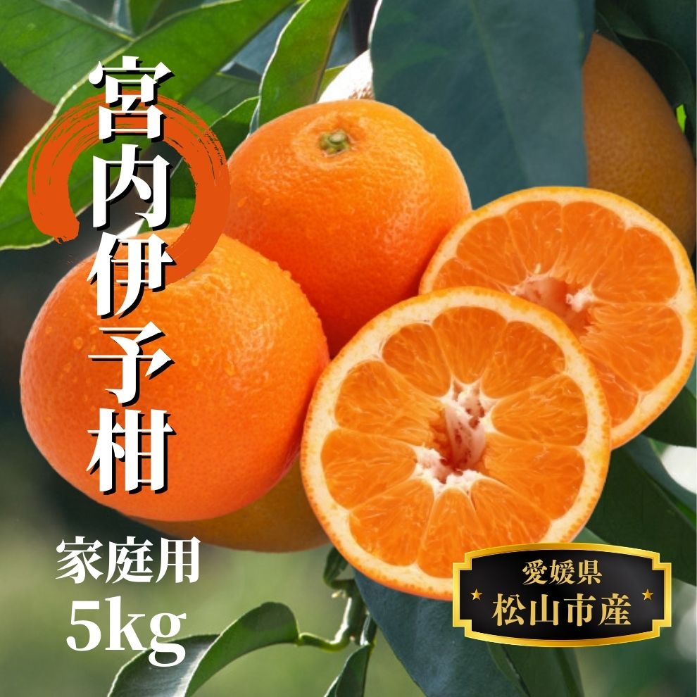 【ふるさと納税】 宮内伊予柑 家庭用 約5kg ＜2026年2月から3月中旬頃発送...
