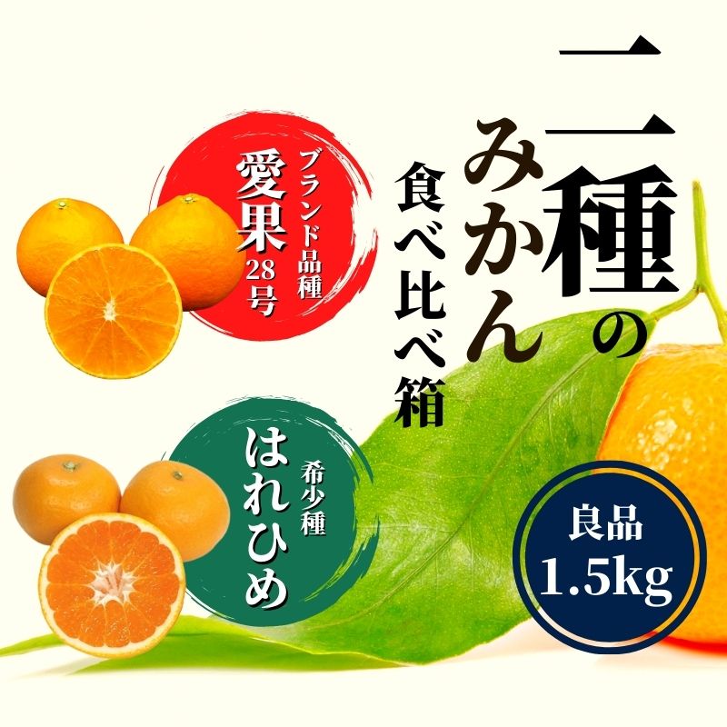 【ふるさと納税】 【早期予約受付中!2025年12月頃から順次発送】 二種のみかん食べ比べ箱 愛果 28 号・はれひめ 約 1.5kg 良品 | 愛果28号 まどんな 柑橘 みかん 果物 くだもの フルーツ おすすめ 高級 人気 お取り寄せ グルメ ギフト 期間限定 ご当地 愛媛県 松山市