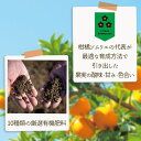 愛媛県松山市の画像3