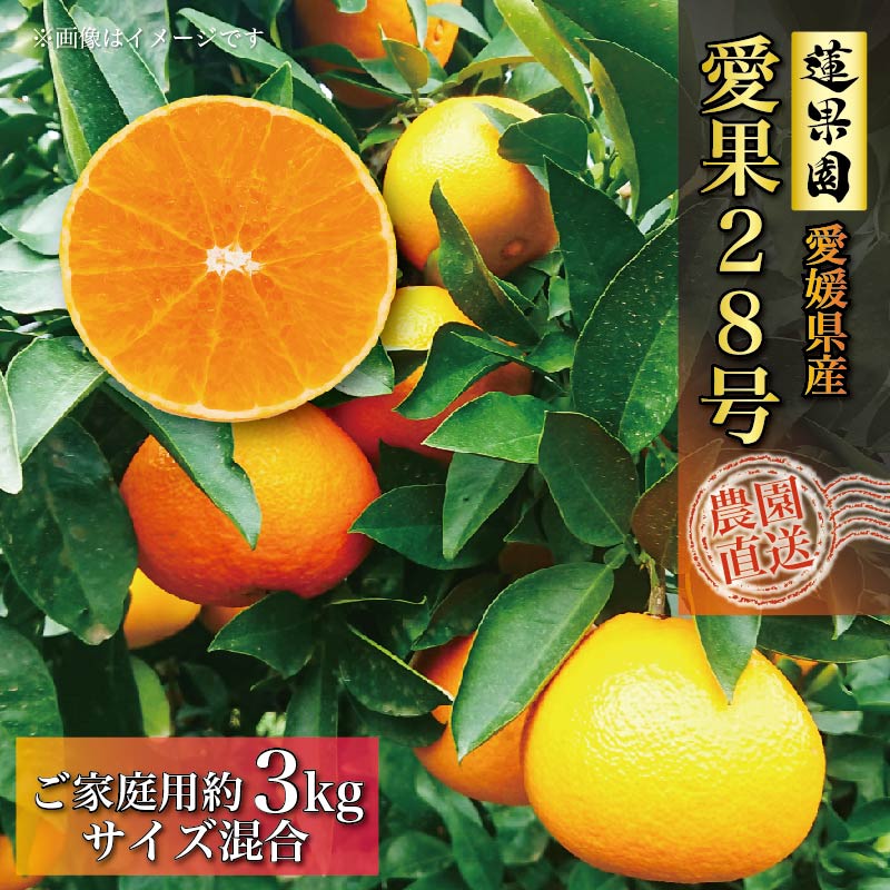 5位! 口コミ数「11件」評価「4.45」2024年12月中旬から発送 あいか 訳あり ご家庭用 3kg 愛果28号 |みかん まどんな 訳あり 柑橘 みかん 果物 くだもの フルー･･･ 