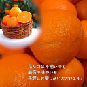 愛媛県松山市の画像2