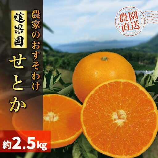 【ふるさと納税】 【2026年2月下旬から発送】 せとか 訳あり 家庭用 2.5kg 先行予約 | 高級 みかん 愛媛 蜜柑 柑橘 果物 くだもの フルーツ おすすめ 人気 お取り寄せ グルメ ギフト 期間限定 数量限定 ご当地 松山市 蓮果園 【ふるさと納税】 【2026年2月下旬から発送】 せとか 訳あり 家庭用 2.5kg 先行予約 | 高級 みかん 愛媛 蜜柑 柑橘 果物 くだもの フルーツ おすすめ 人気 お取り寄せ グルメ ギフト 期間限定 数量限定 ご当地 松山市 蓮果園