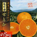 【ふるさと納税】 【先行予約】 【2026年2月下旬から発送予定】 せとか B品 訳あり 家庭用5kg 先行予約| 高級 みかん 柑橘 蜜柑 果物 くだもの フルーツ おすすめ 高級 人気 お取り寄せ グルメ ギフト 期間 数量 限定 ご当地 愛媛県 松山市 蓮果園