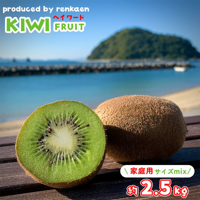 【ふるさと納税】 【先行予約】 【11月上旬から発送】 キウイフルーツ ヘイワード約2.5kg 大中小サイズ混合 家庭用( 蓮果園 キウイ フルーツ 果物 くだもの お取り寄せ 産地直送 数量限定 人気 おすすめ 愛媛 松山 蓮果園 )
