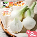 【ふるさと納税】 津和地新玉ねぎ 3kg~8kg 先行予約 津和地ブランド玉ねぎ 津和地島産 野菜 農家直送 期間限定 たまねぎ 新玉ねぎ 甘い 生食 サラダ スープ ハンバーグ 人気 おすすめ 常備野菜 保存 ご家庭用 贈答 旬 お取り寄せ 産地直送 送料無料 愛媛県 松山市 山本農園