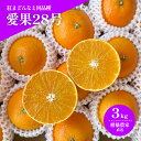 【ふるさと納税】 【先行予約(2025年11月下旬から発送)】 数量限定 愛果28号(紅まどんなと同品種) 約3kg 先行予約 愛媛 柑橘 果物 くだもの フルーツ お取り寄せ グルメ 期間限定 人気 おすすめ 愛媛県 松山市 北条森農園