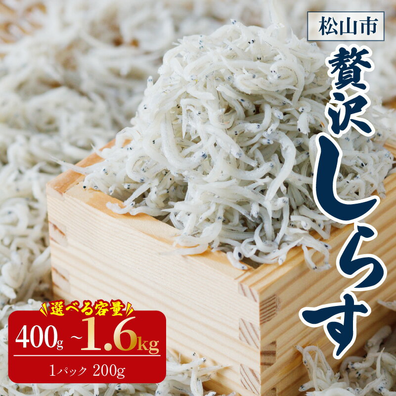 【ふるさと納税】愛媛県産 大容量 贅沢 しらす 800g ( 200g × 4パック ) | 約12人前 しらす丼 丼ぶり 魚 さかな ご飯 ごはん 炒飯 チャーハン パスタ スパゲティ サラダ 卵焼き お取り寄せ グルメ 人気 おすすめ 愛媛県 松山市のサムネイル