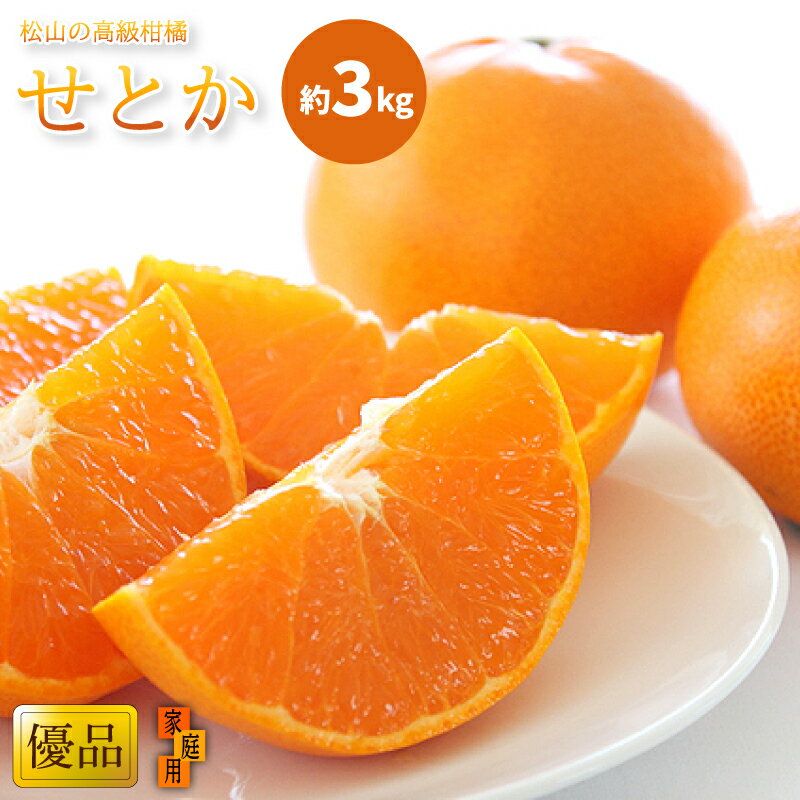 【ふるさと納税】 【2月中旬から発送】 せとか 家庭用(優品) 約3kg L~4L 8~15玉 先行予約 柑橘 みかん ミカン mikan 果物 フルーツ 甘い ジューシー 大トロ 薄皮 種なし 希少品種 数量限定 産地直送 国産 愛媛 高級 柑橘 贈答用 ギフト 家庭用 愛媛県 松山市 送料無料