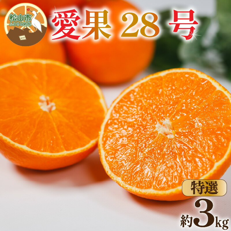 [先行予約] 特選 愛果28号 約3kg [12月上旬~1月中旬頃発送予定] | あいか 愛果28号 紅まどんな と同品種 みかん 柑橘 アイカ 先行予約 ミカン かんきつ 果物 フルーツ おすすめ 蜜柑 送料無料 愛媛県 松山市