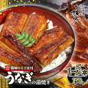 【ふるさと納税】 【容量選択可】愛媛産 うなぎ蒲焼 1本~5本 (1尾:150~169g) | 国産 うなぎ ウナギ 鰻 蒲焼き 簡単調理 土用丑の日 ギフト お中元 お歳暮 母の日 父の日 かわすい 川口水産 愛媛県 松山市 うなぎ屋かわすい