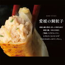 【ふるさと納税】 愛媛の鯛ぎょうざ(30個)惣菜 羽根つき餃子 水餃子 餃子 ぎょうざ ギョウザ お中元 ギフト 愛媛県 松山市