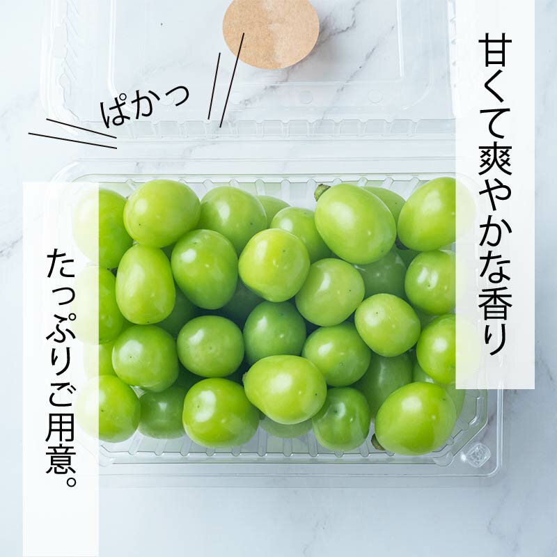 【ふるさと納税】【2024収穫分先行予約】 シャインマスカット 2kg バラ粒 500g 4パック 小分け 新着 人気 予約 フルーツ くだもの マスカット ぶどう 早朝 収穫 朝採れ ギフト 贈答 ※8/20頃～発送予定 ナチュラルファームen