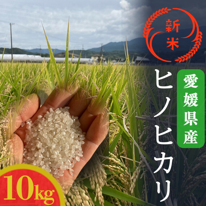 【ふるさと納税】 【新米】令和5年産！愛媛県産ヒノヒカリ 10kg 産地直送 国産 ...