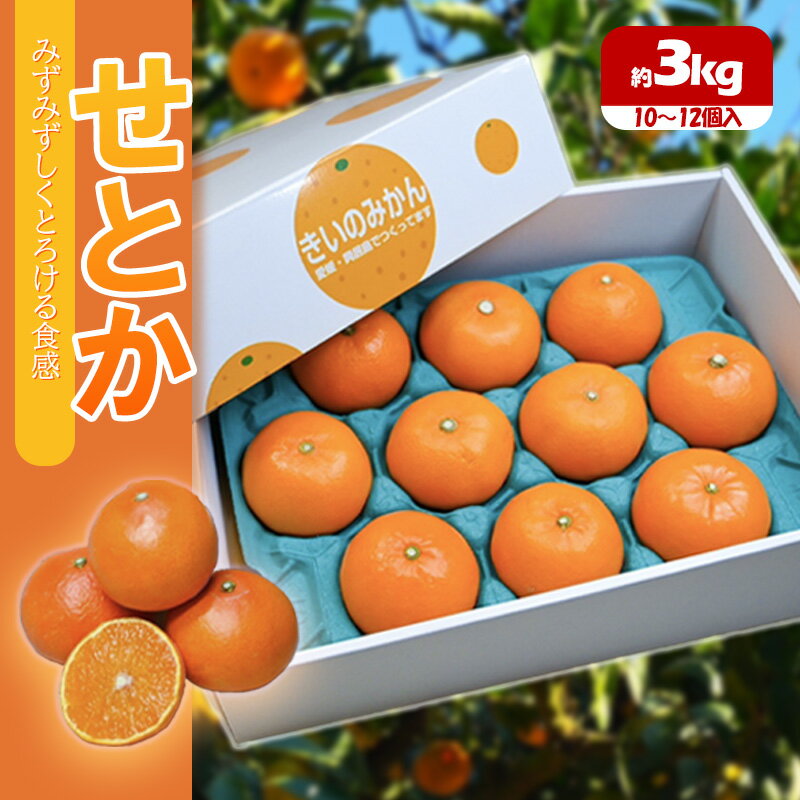 【ふるさと納税】 先行予約 せとか 約3kg ＜3月から発送開始＞| みかん 蜜柑 柑橘 果物 くだもの フル..