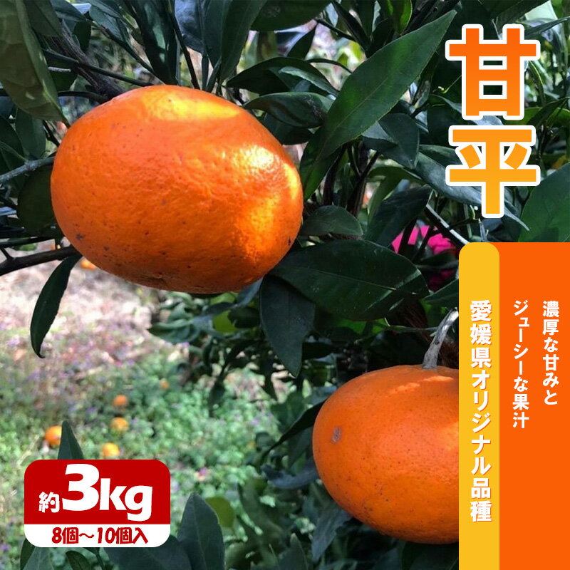 【ふるさと納税】甘平　約3kg＜2月下旬～発送開始＞