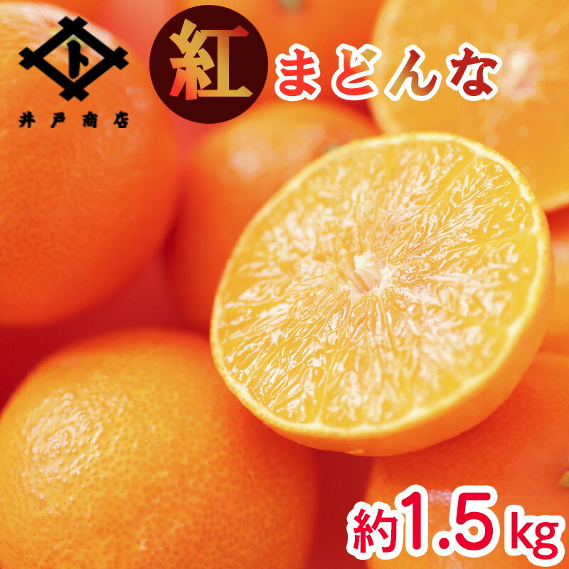 14位! 口コミ数「60件」評価「4.58」 ★★★150箱限定★★★【11月下旬から発送】 紅まどんな ◯等級 Lから2L 約1.5kg | 高級 柑橘 みかん 蜜柑 愛媛 松山 返礼品 甘い 大玉