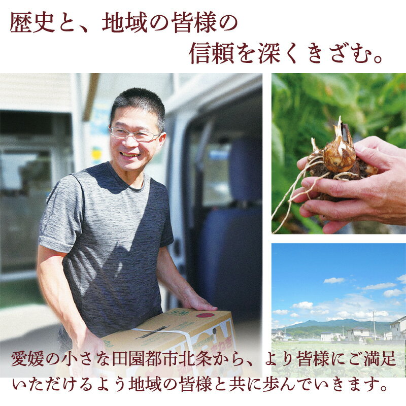 愛媛県松山市の画像3