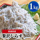 愛媛県産 大容量 贅沢 しらす 1kg ( 1kg × 1パック ) | 約15人前 しらす丼 丼ぶり 魚 さかな ご飯 ごはん 炒飯 チャーハン パスタ スパゲティ サラダ 卵焼き お取り寄せ グルメ 人気 おすすめ 愛媛県 松山市