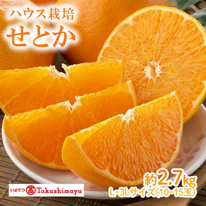 [2026年2月上旬から発送] せとか ハウス JAえひめ中央 約2.7kg 3L〜Lサイズ 10から15玉 ( セトカ みかん 蜜柑 柑橘 高級 果物 甘い フルーツ 松山市 愛媛県 )