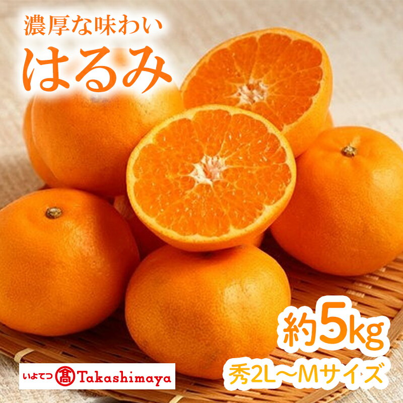 [2026年2月上旬から発送]はるみ(JAえひめ中央)約5kg 秀2L〜Mサイズ