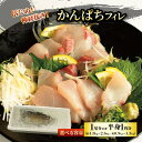 【ふるさと納税】 かんぱち フィレ カンパチ 勘八 半身1枚(約0.9~1.3kg) または1尾分(約1.8~2.6kg) 魚 鮮魚 刺身 活じめ 神経抜き 愛媛県 松山市