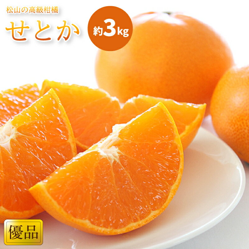 【ふるさと納税】愛媛 みかん せとか 優?秀品 約3kg L~3L 10~15玉 | 先行予約 柑橘 果物 くだもの フルーツ お楽しみ お取り寄せ グルメ 期間限定 数量限定 人気 おすすめ ギフト 愛媛県 松山市のサムネイル