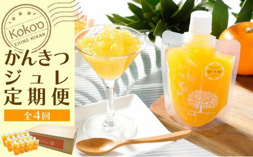 【ふるさと納税】 かんきつジュレ定期便　30個×4回 ジュレ コンフィチュール せとか あいか 愛果 ぶどう 柑橘 みかん ギフト おすすめ